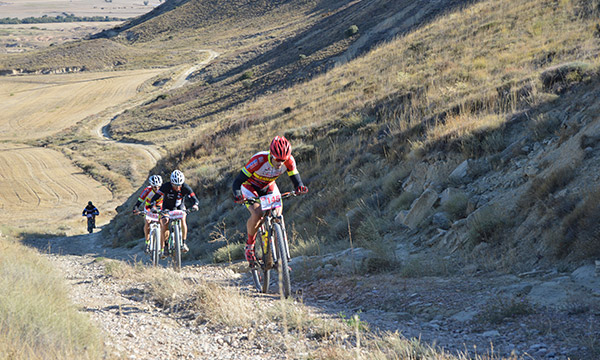 btt aspanoa 2017